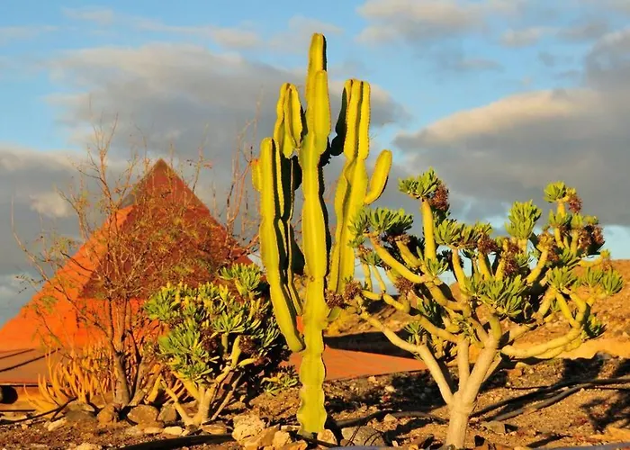 Luna - Eco Retreat Artis Tirma *