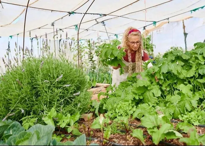 Apartament Luna - Eco Retreat Artis Tirma *