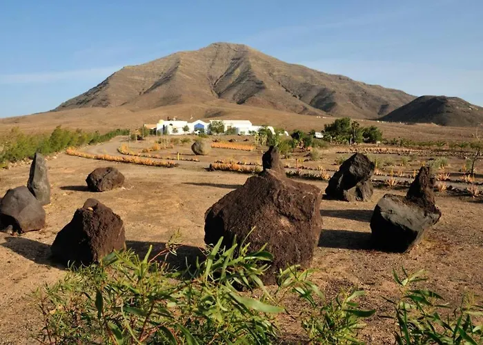 Luna - Eco Retreat Artis Tirma Apartament