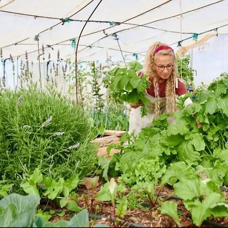 Apartment Luna - Eco Retreat Artis Tirma *