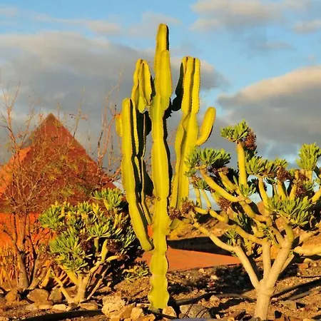 Luna - Eco Retreat Artis Tirma *